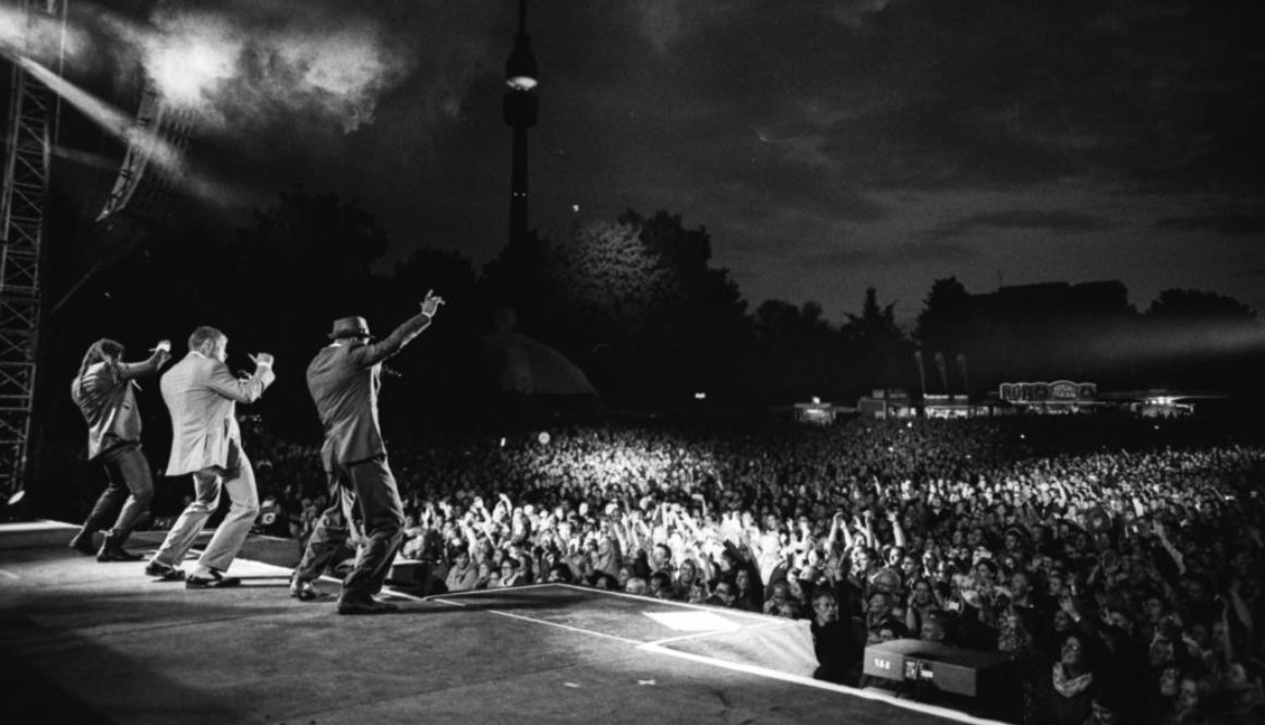 Seeed analog Dortmund-0023
